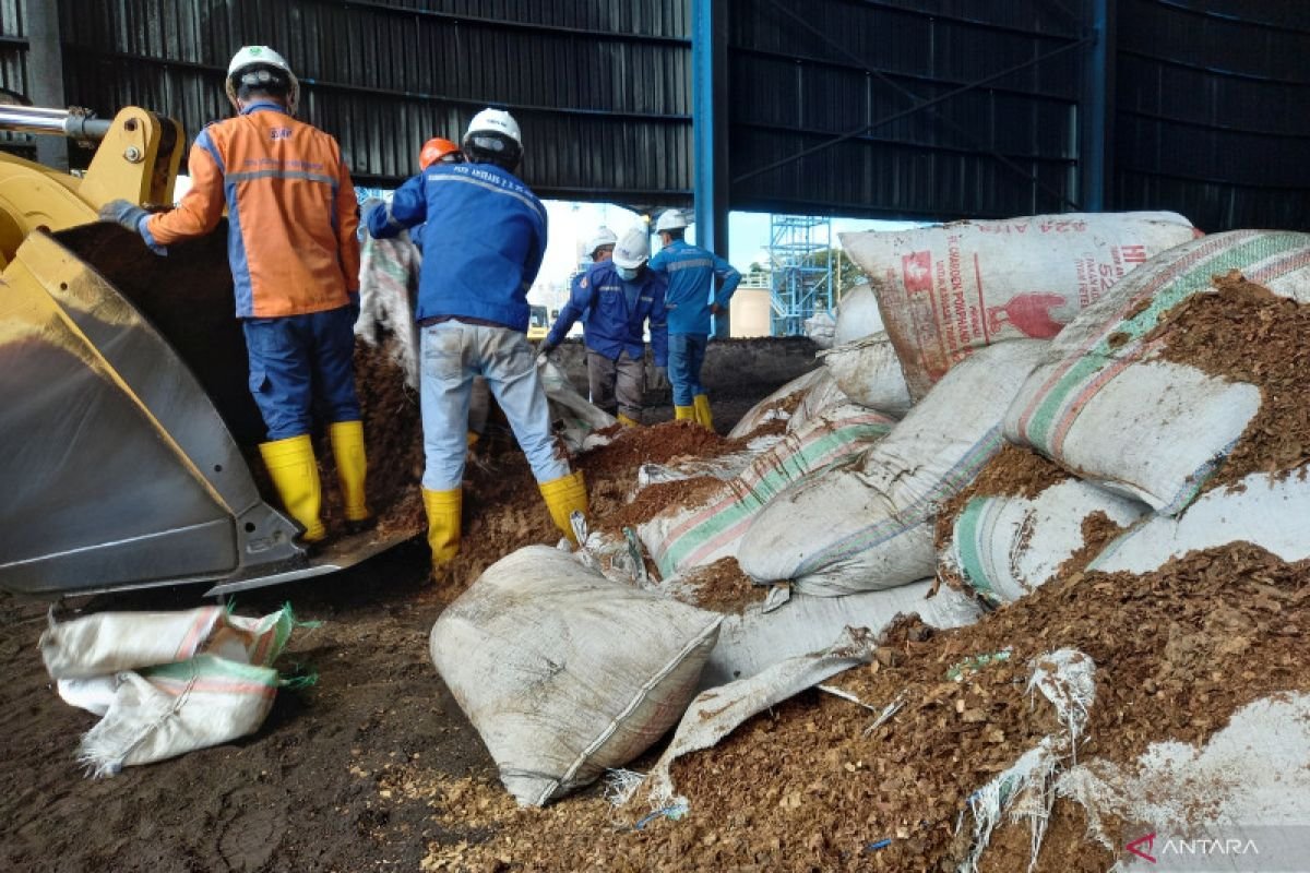 Co-firing Biomassa Sawdust di PLTU Amurang